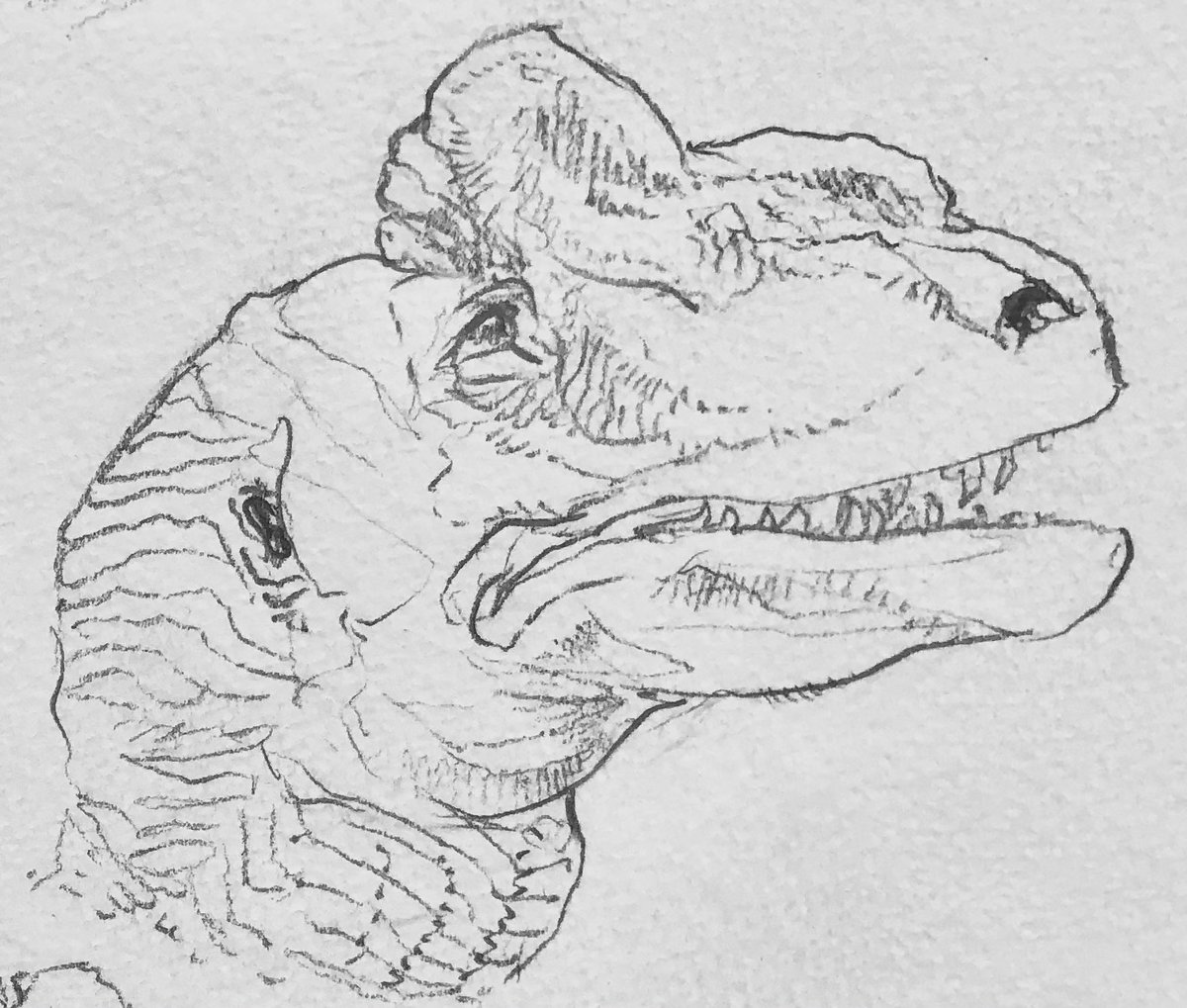 Wyatt-Andrews-Workshop tweet media