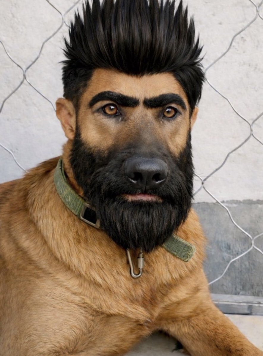 عَّ عبدالله tweet media