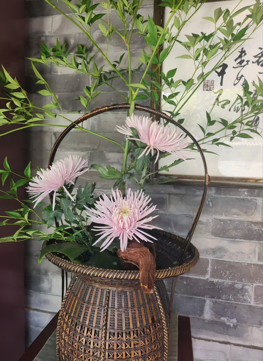 AbdullaYN's tweet photo. "5-second daily win: Check your plant’s soil! Stick a finger 2cm deep—dry = water, damp = wait. Happy plants = happy you " https://t.co/ThWgn9GRB8