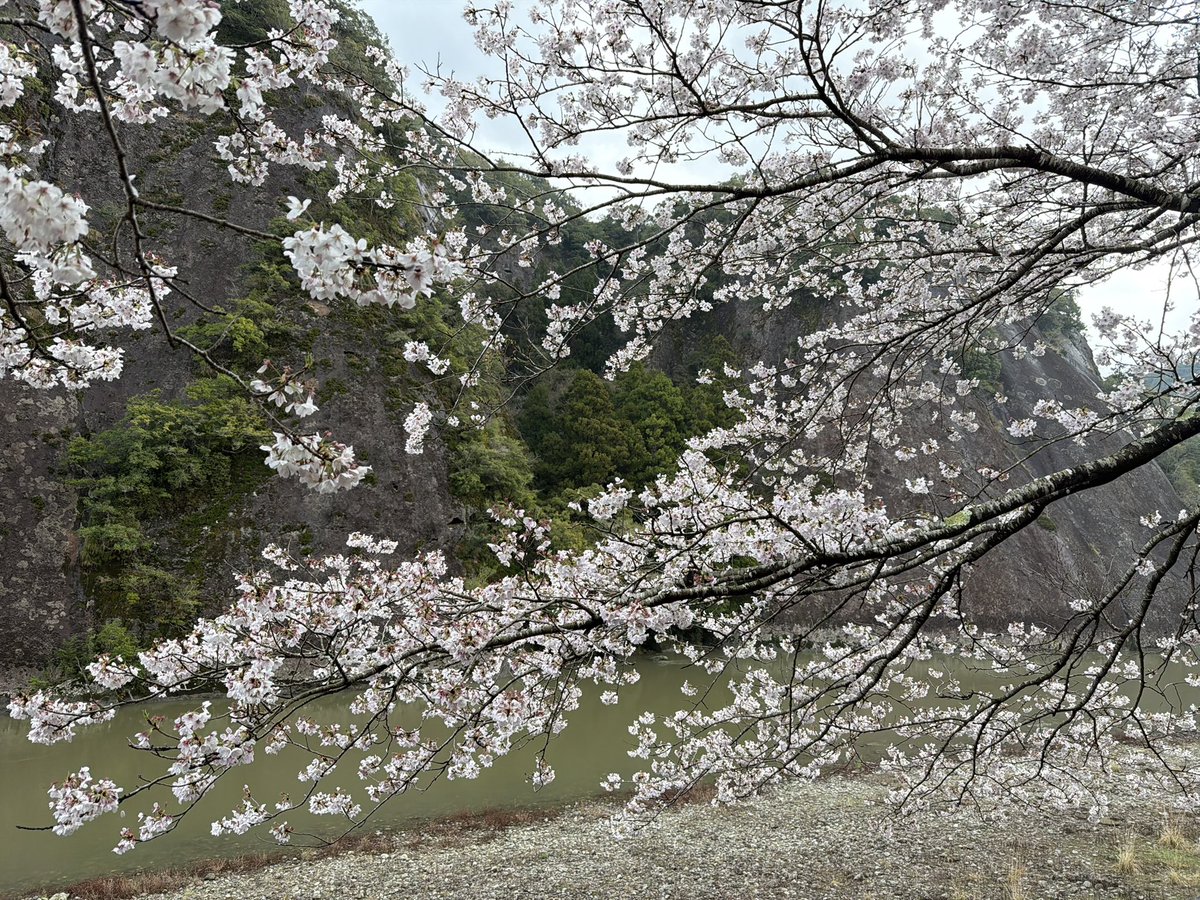 Wind Calm tweet media