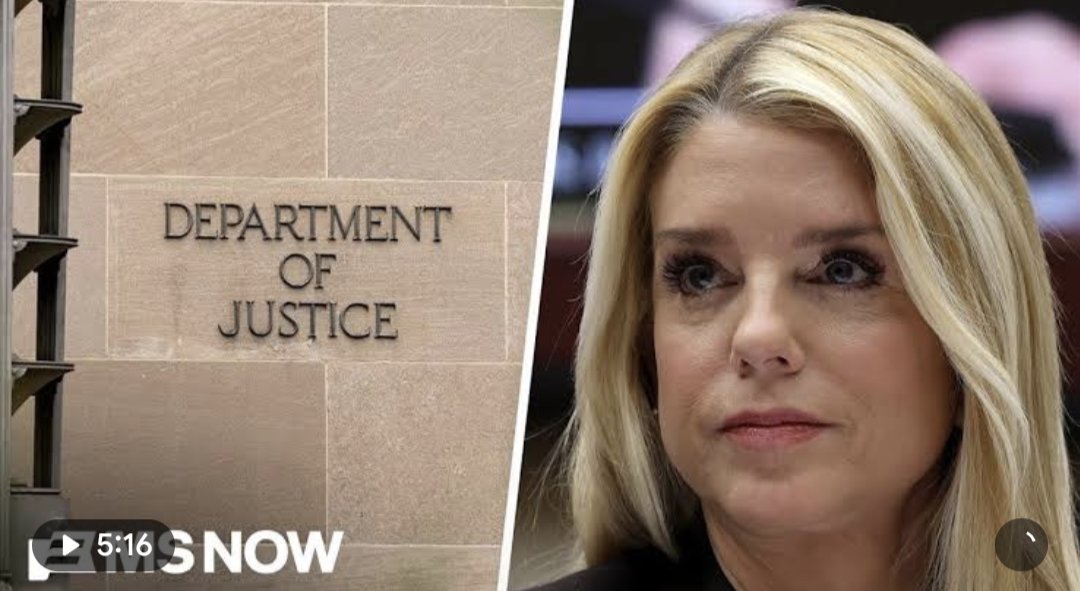 Pepe Deluxe 🐸 tweet media