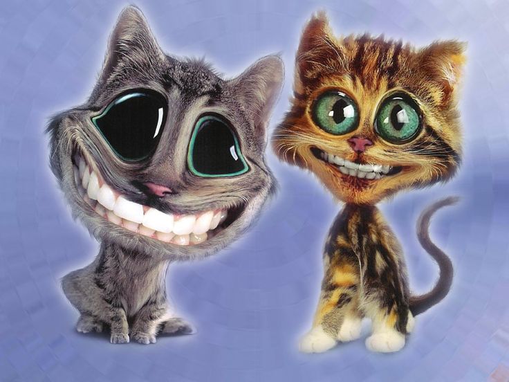 masha | matou o urso (`﹏ ') .ᐟ tweet media