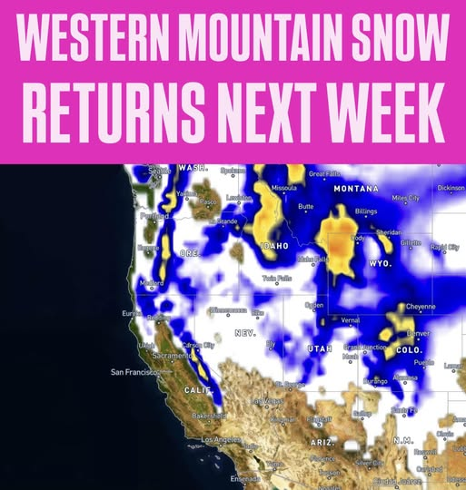 FireCapt404 tweet media