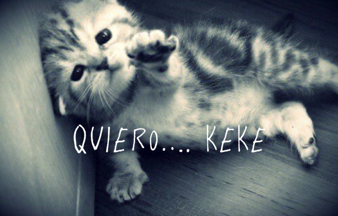 PapayFasico tweet media