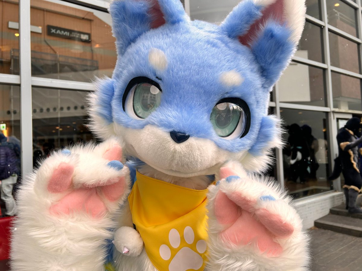 またハル 🐾 UTFG2026 tweet media