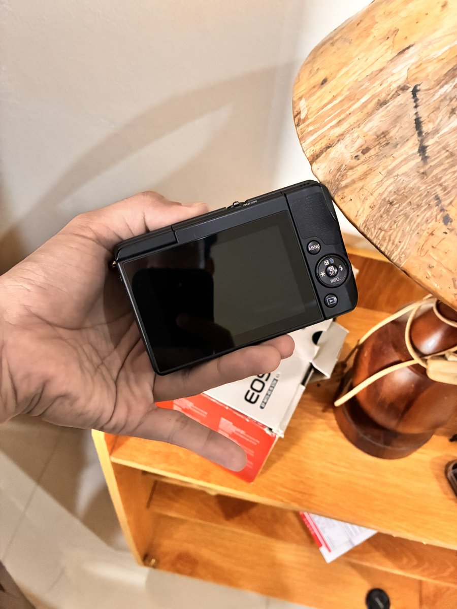 sillyraccoon | Digicam tweet media