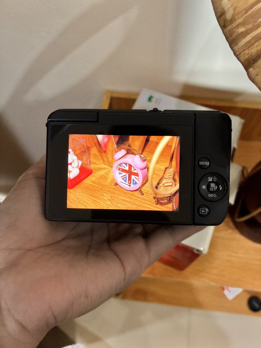 sillyraccoon | Digicam tweet media