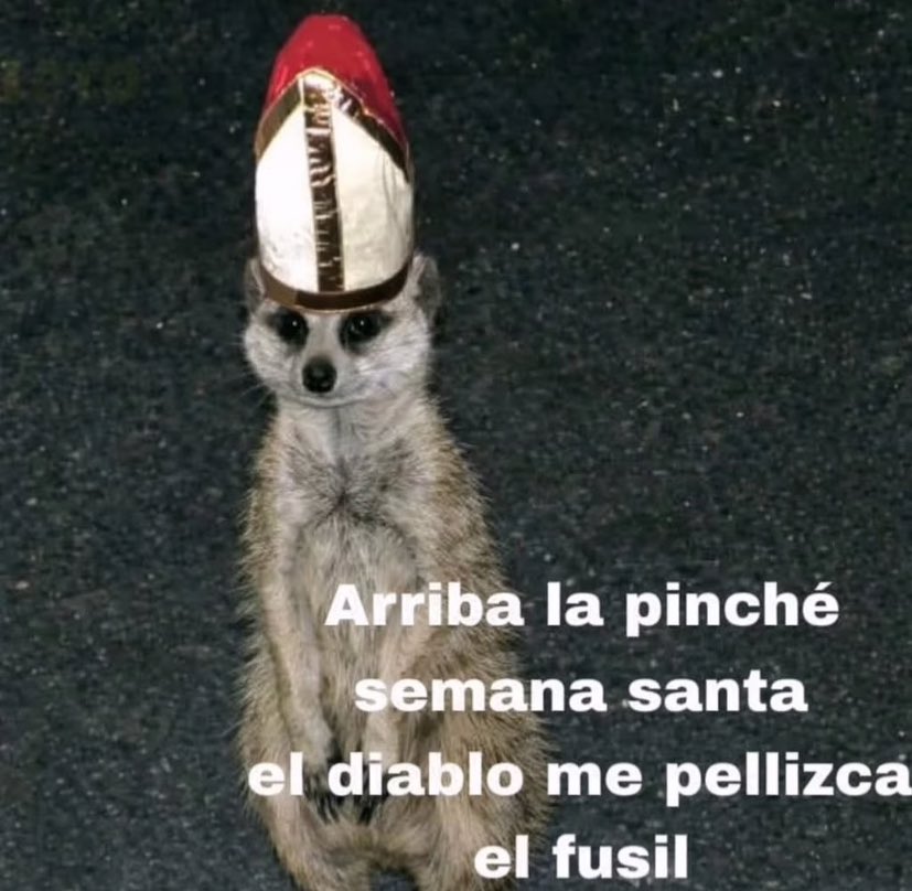 Memes Universidad Nacional tweet media