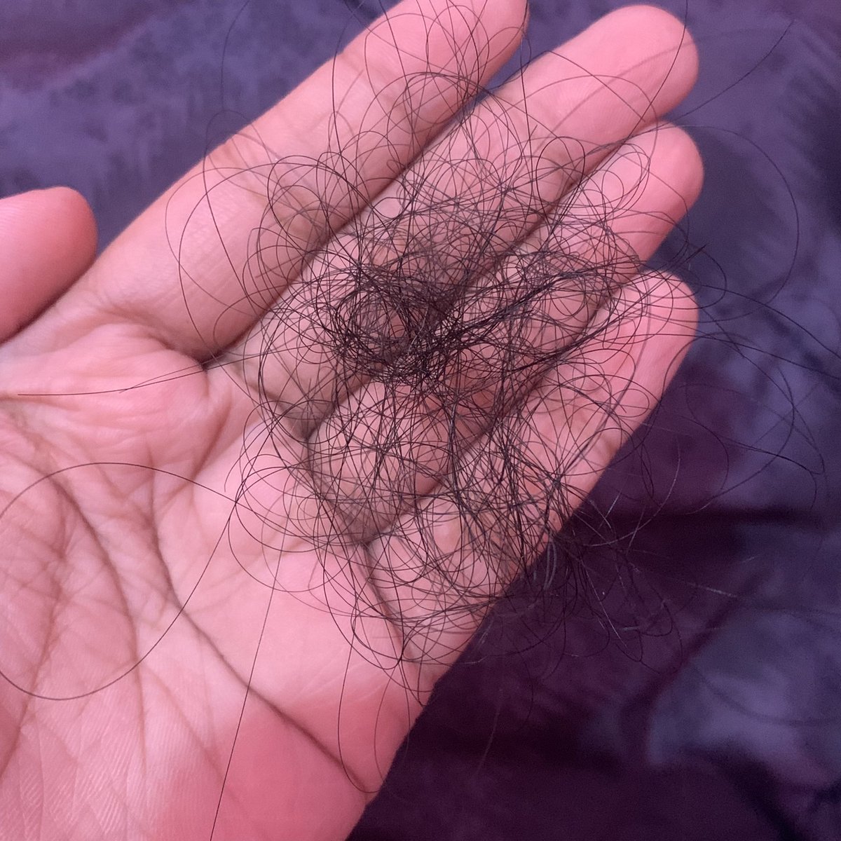 shalsaa ౨ৎ tweet media