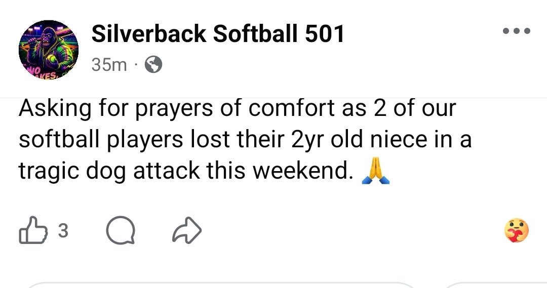 Bully Watch USA tweet media