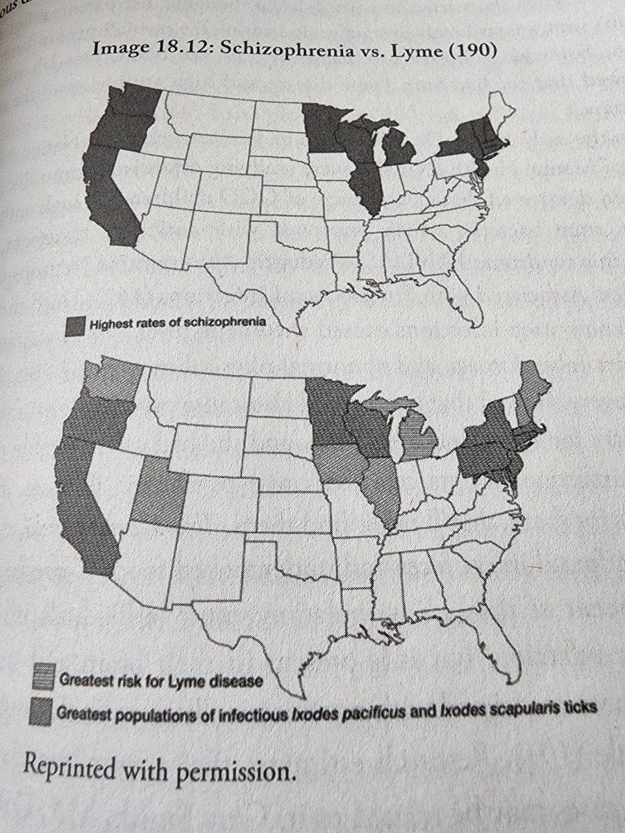 Greg Yang tweet media