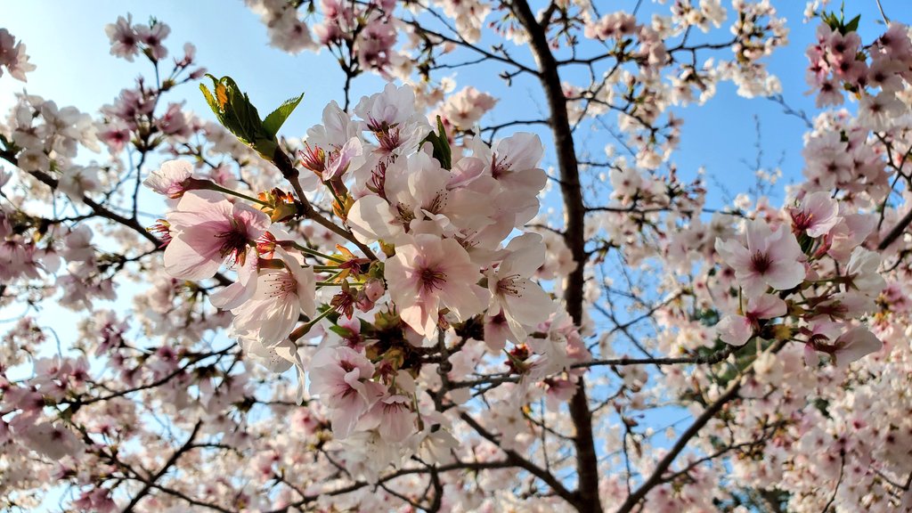 のだ☆ひろ tweet media