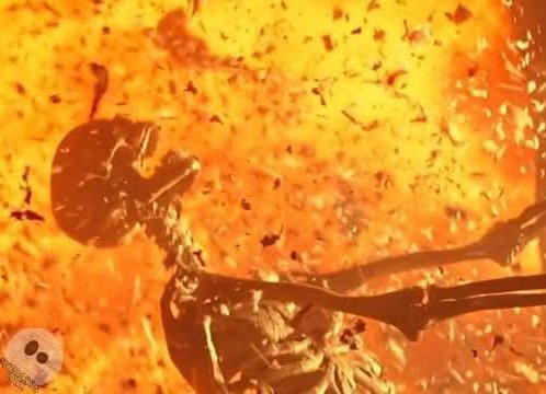 Momazos Nauta tweet media