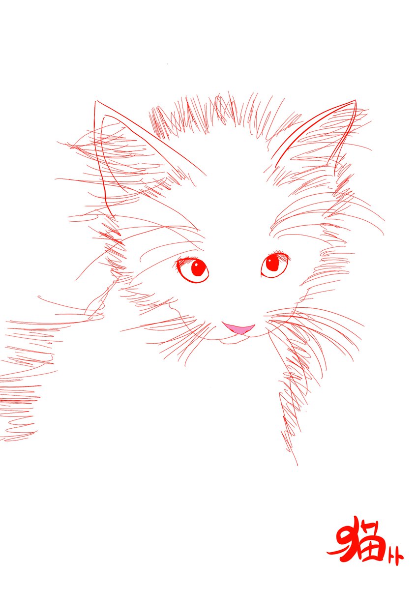 M小説同盟（本物） tweet media