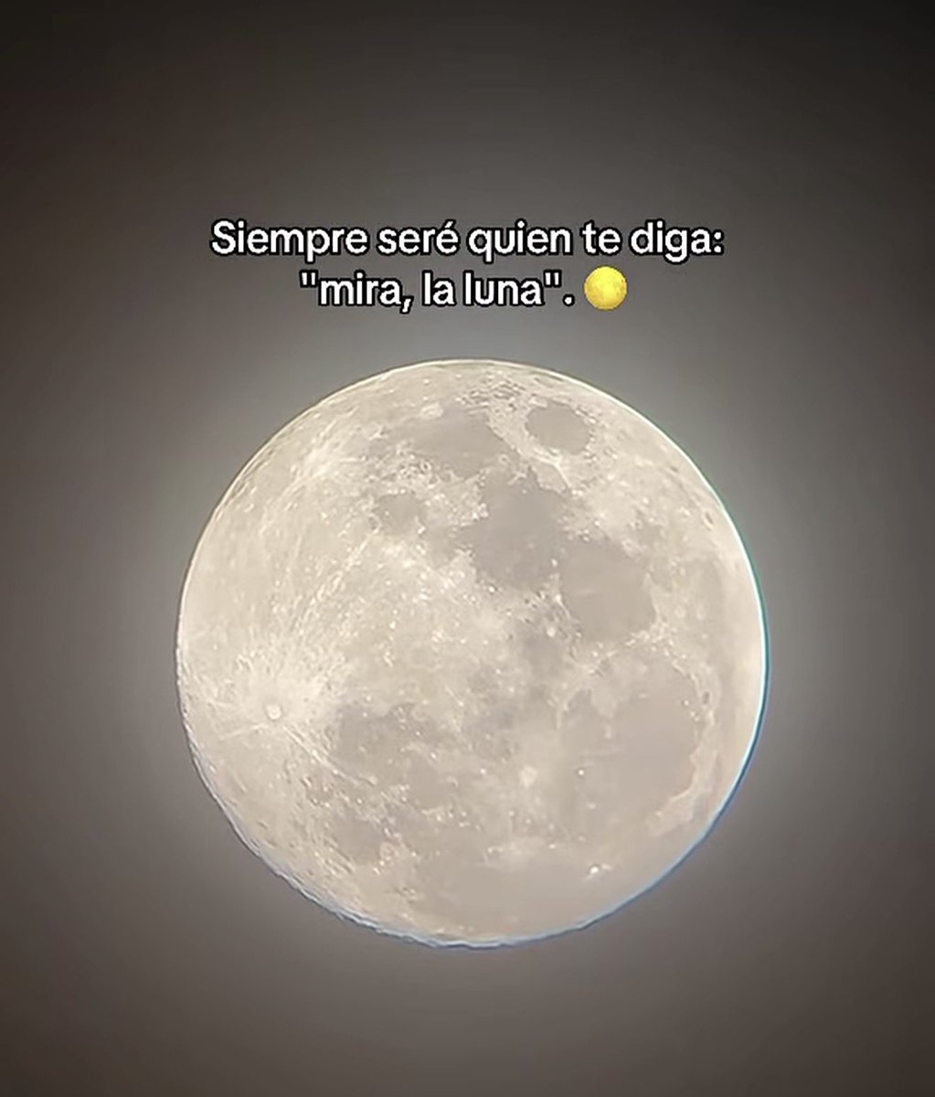 CARPE DIEM tweet media