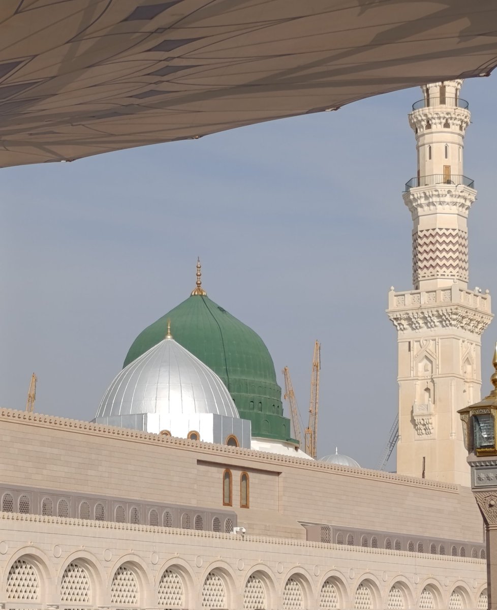 🖤 Faiza Ali 🖤 tweet media