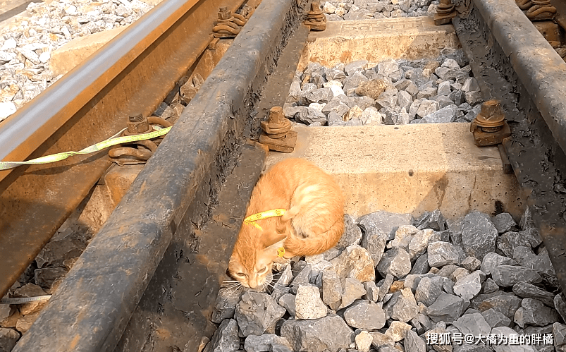 Marzia Milan tweet media