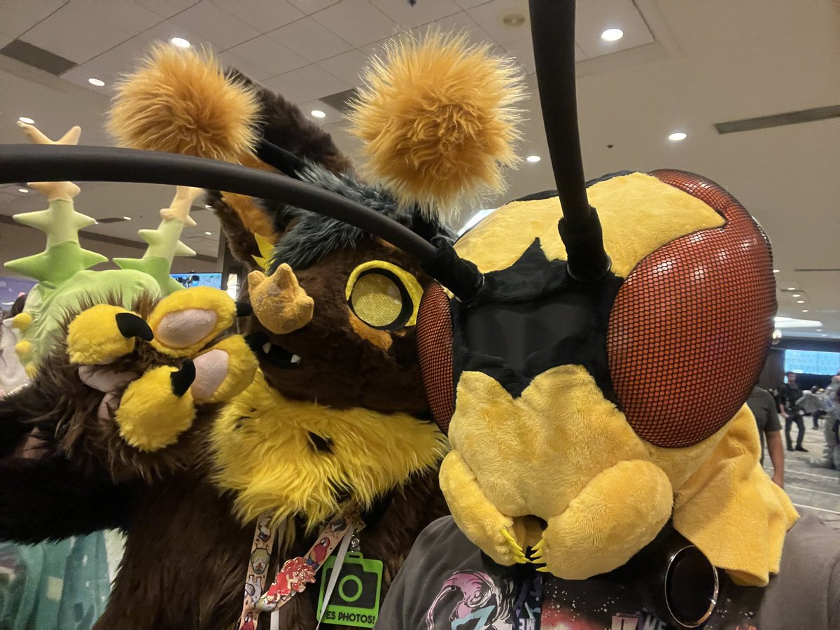 MutantWasp's tweet photo. Some final photos of my wasp at #TFF2026! Thank yall so much for the encouraging and supportive words on my first self-made suit! I can’t wait to resume it!
.
#texasfurryfiesta #fursuit #furry https://t.co/lebWEkXB9P