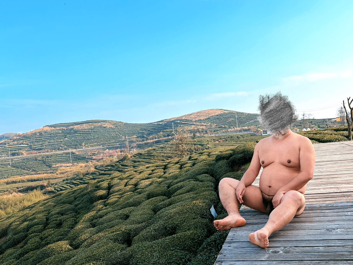 灰色的阳光 tweet media