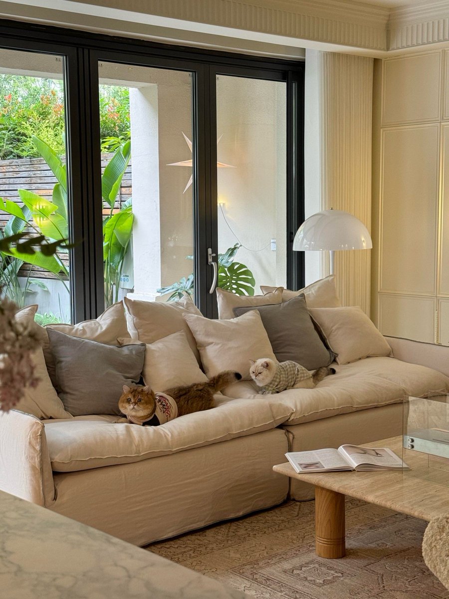 matthew romero tweet media