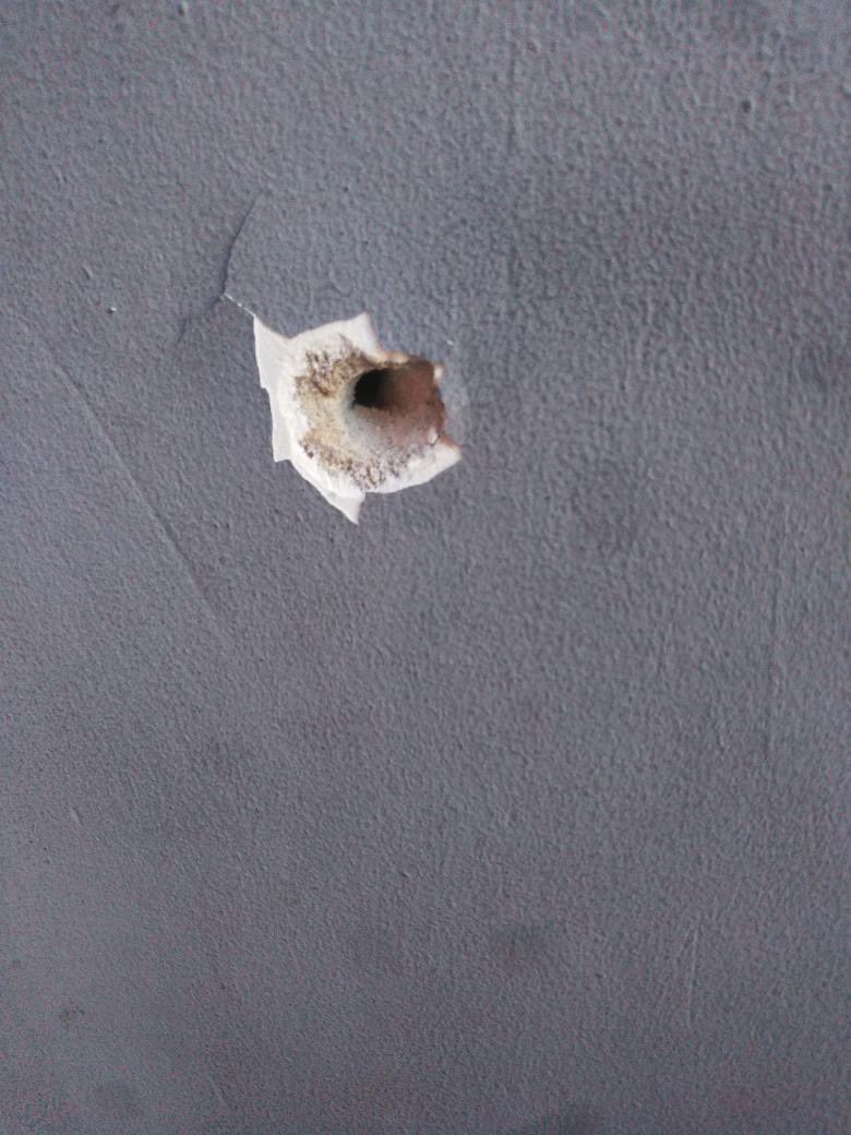 Maria Sarungi Tsehai tweet media