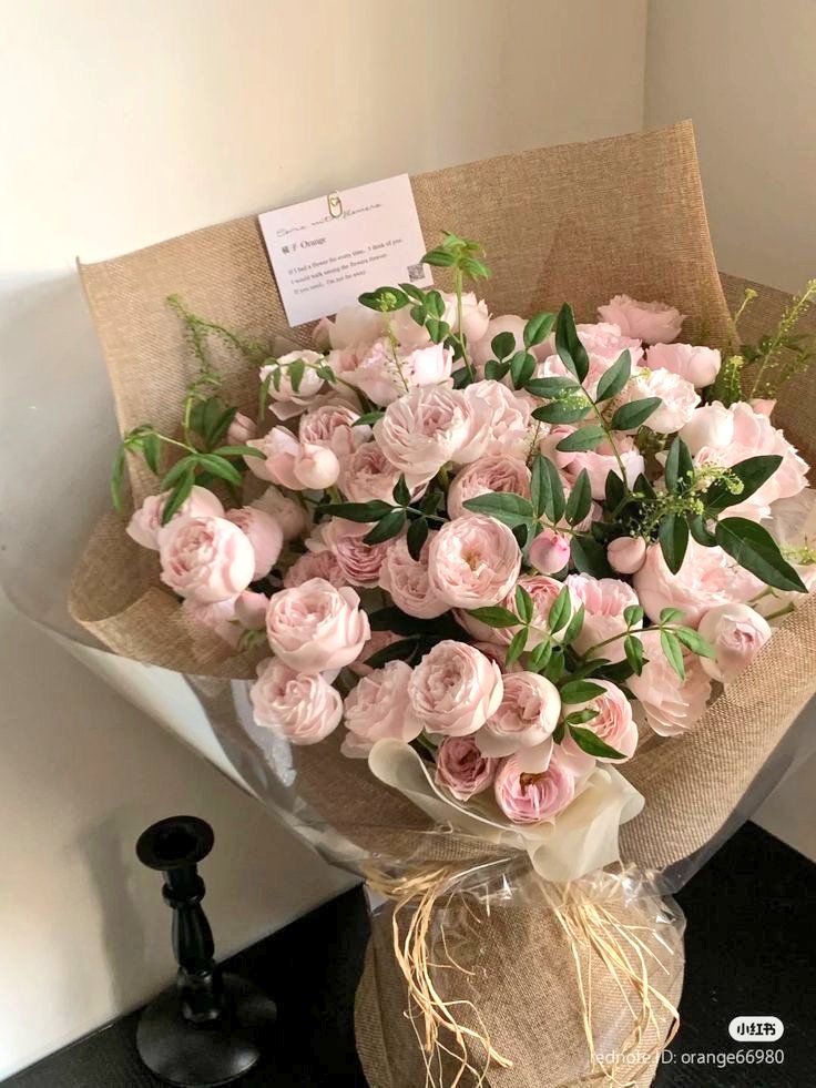 flower 🌺🌹 (@greenery897) on Twitter photo 