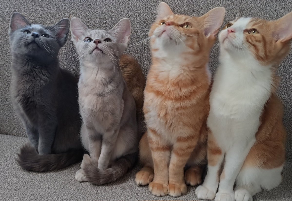 ゆーちゃん tweet media