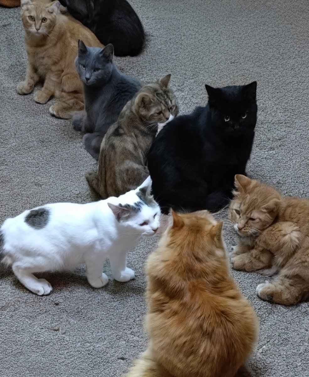 ゆーちゃん tweet media