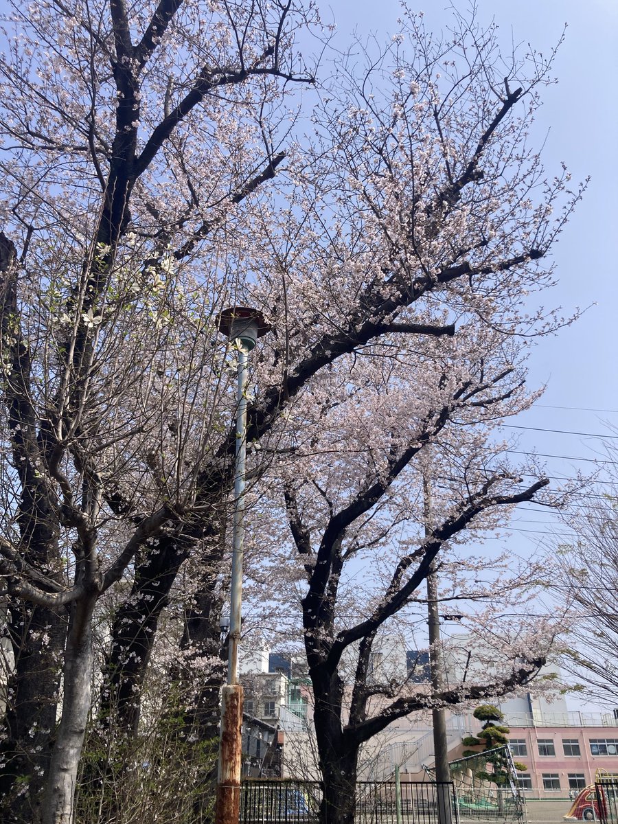 ウォーキング＆束の間の花見😊

そして…これから出発😅