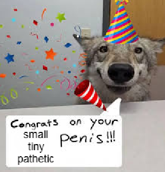 woof "pronouns" woofington tweet media