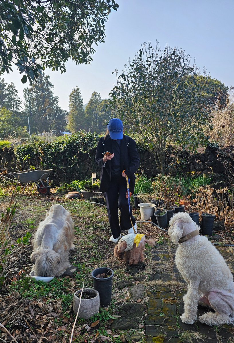 푸순 엄마 tweet media