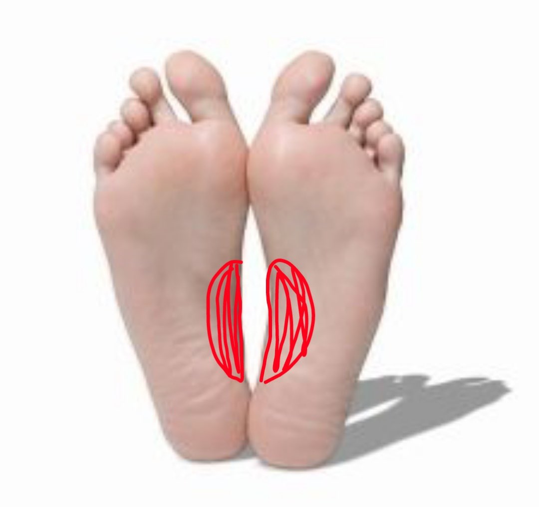 bella🦢 tweet media