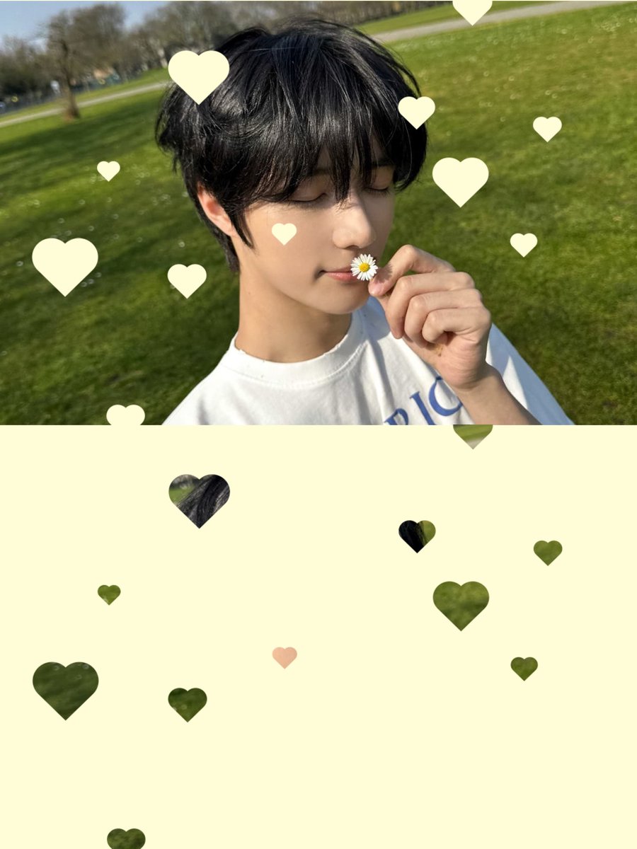 ︎︎◝✩ tweet media