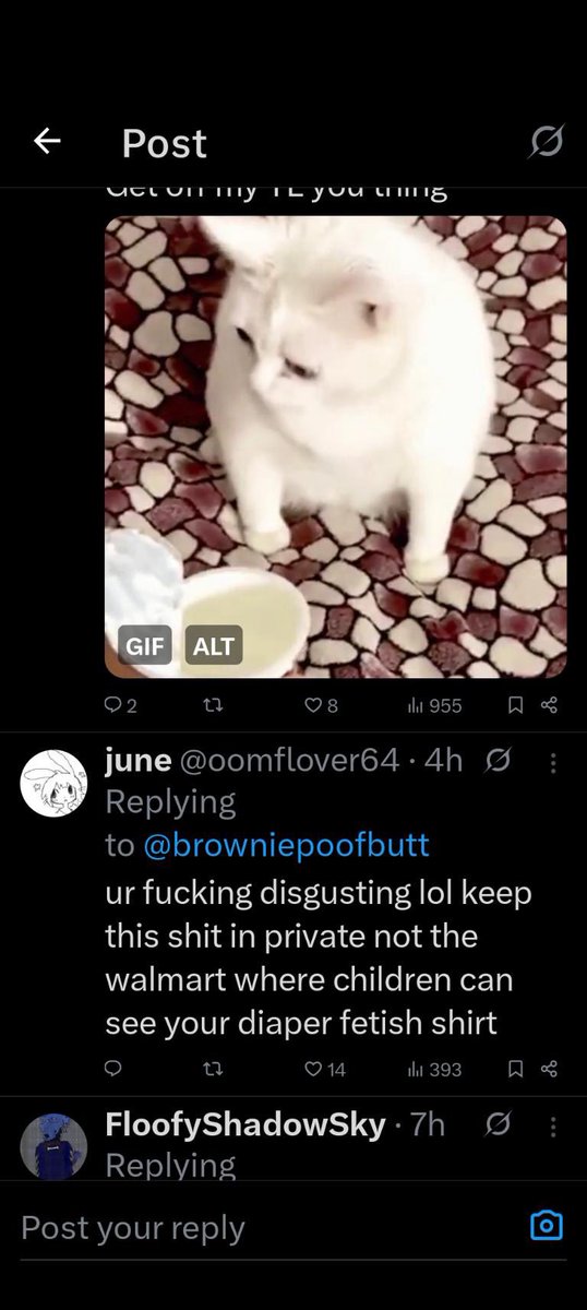 Brownie🤎 tweet media