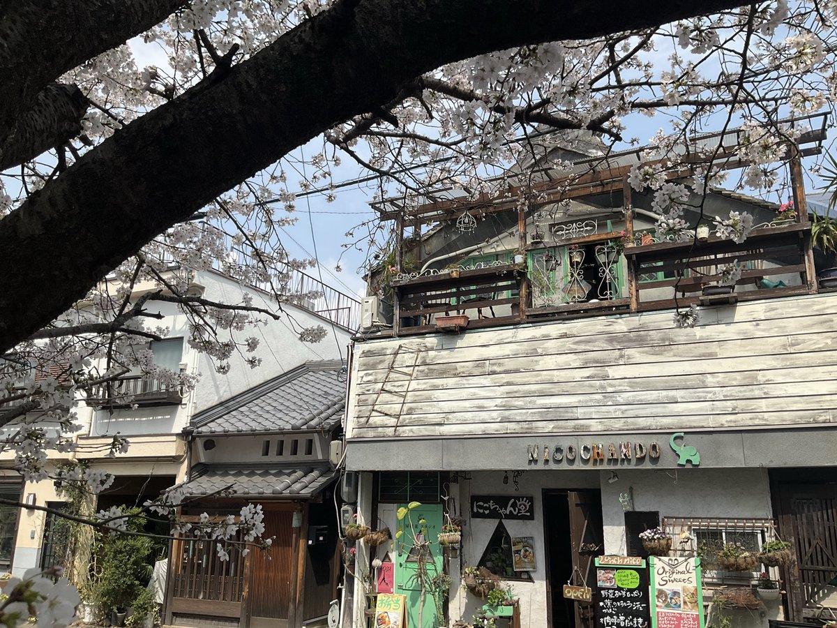 にこちゃん堂 tweet media