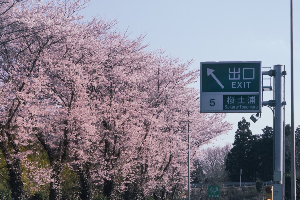 ..Kazuya.W【KENO-michi】@ tweet media