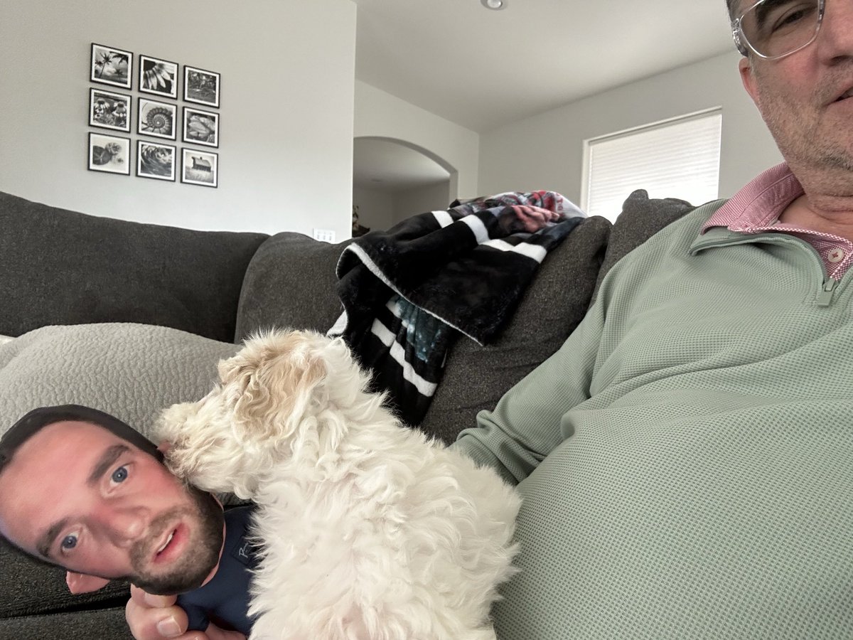 bpice3's tweet photo. @PardonMyMeme New pup does not understand how sad Hank is @BarstoolBigCat @PardonMyMeme @hen_ease @PFTCommenter https://t.co/hMQnJGPJQu