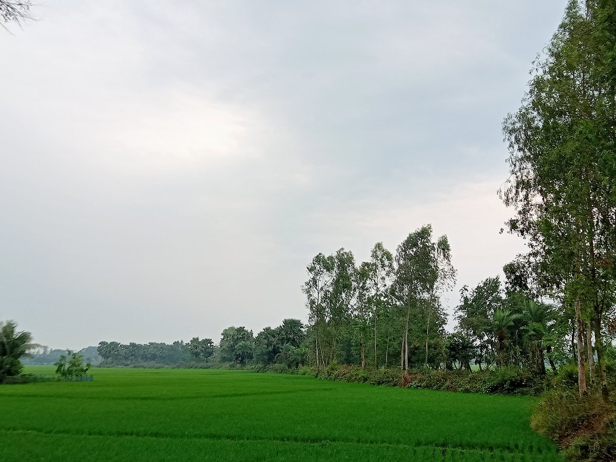 Gm 
Wake up and get back to work