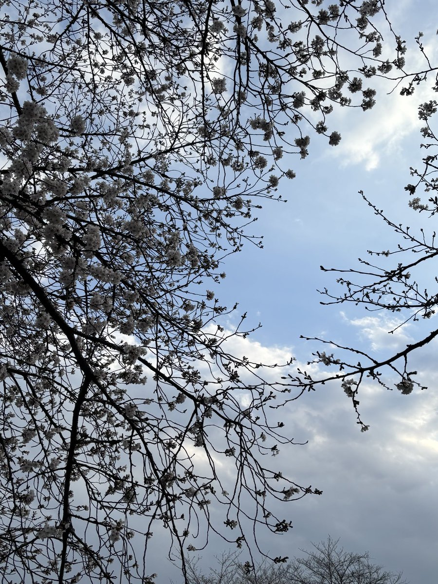 みいしゃ tweet media