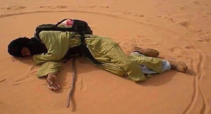 Odnalda Whigson Fênix🐦🔥 tweet media