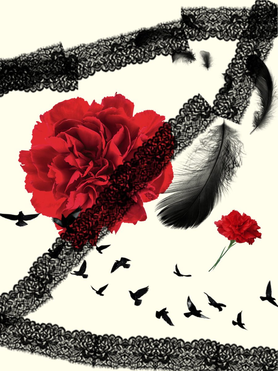 いえな⋆*.。 tweet media