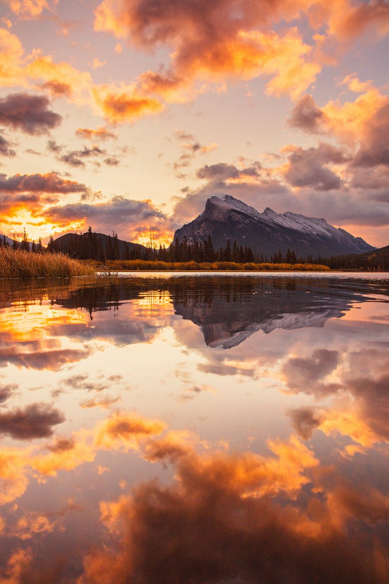 purenature_1's tweet image. Mountains mirrored in sunset ☀️🌅 #Banff