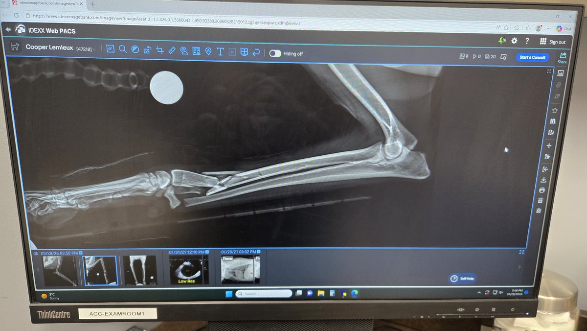 Marty Lemieux tweet media