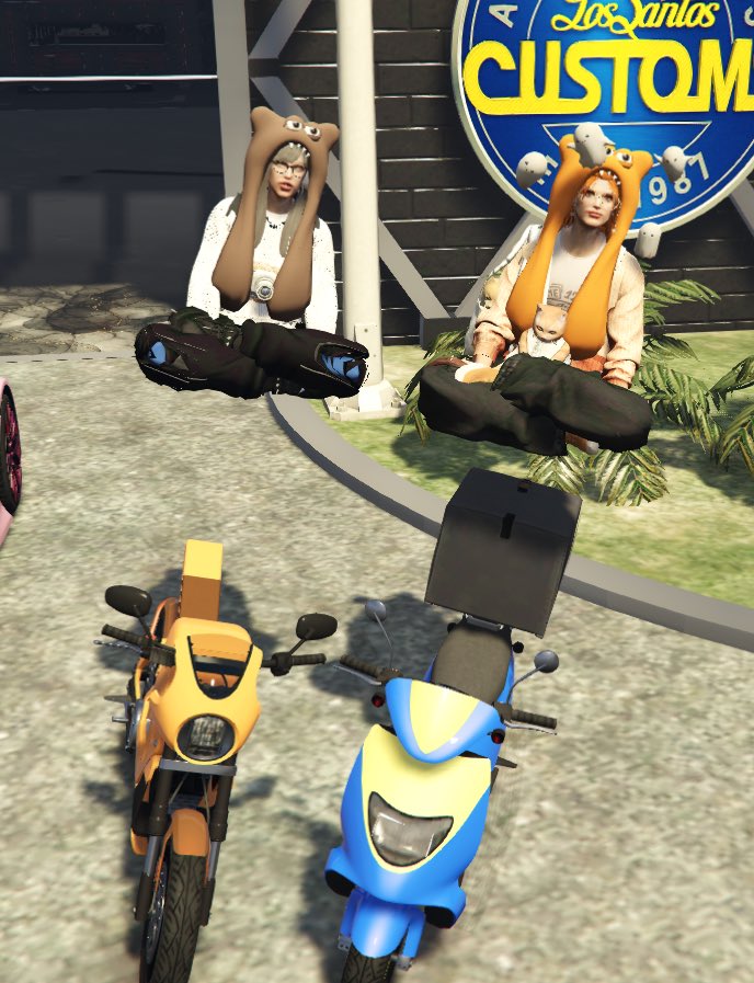 鴟梟りぐも🦉🌽 tweet media