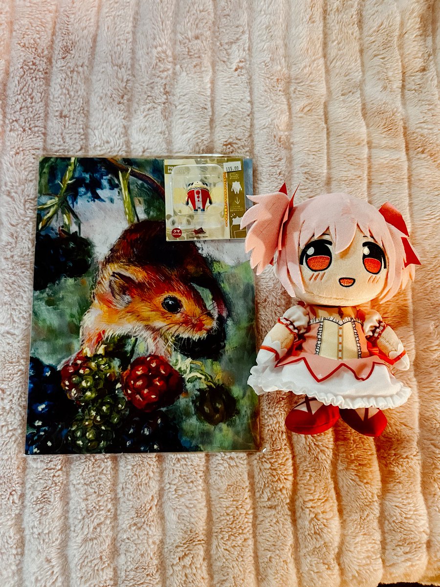 cupcates! ꒰ 💿🪽 ꒱ tweet media