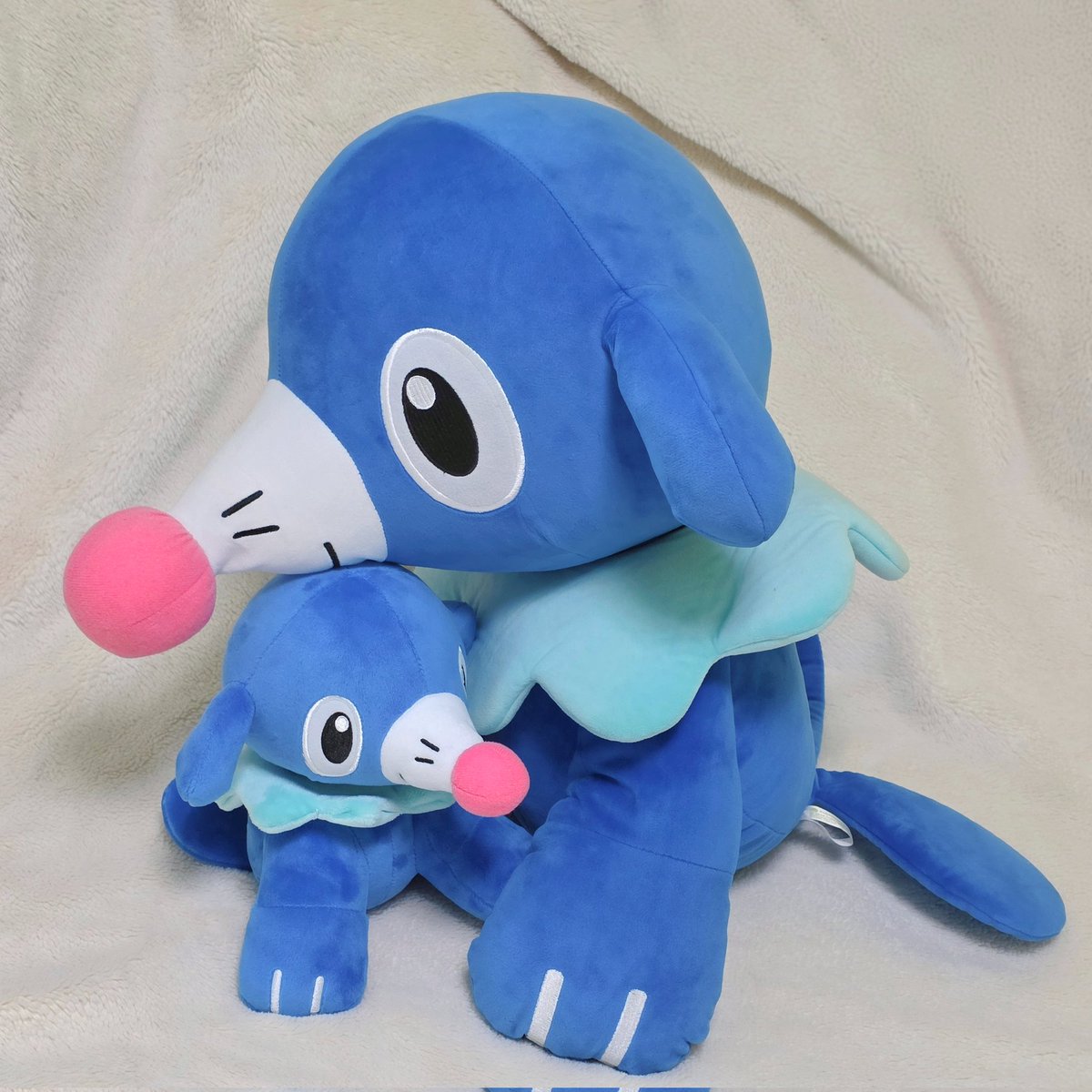 제감초 tweet media