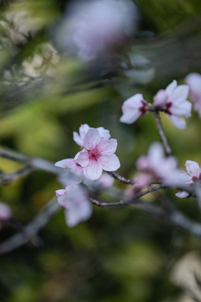 YOuSUKE_photo@NATURE4th 4/23-26 tweet media