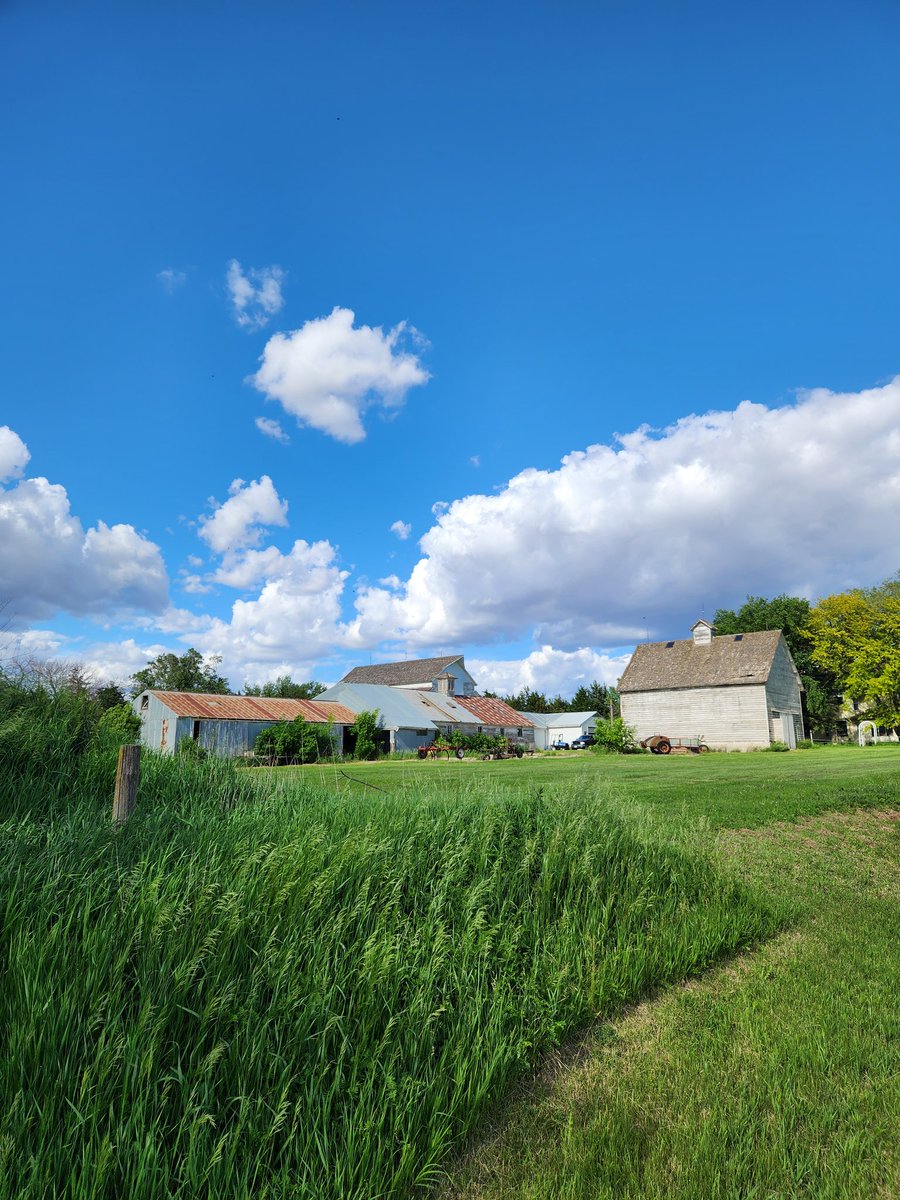 of brick & old wood tweet media