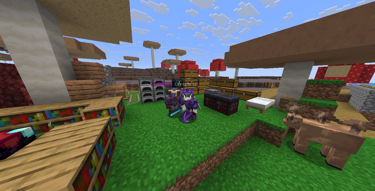 PlebeCraft_SMP's tweet photo. https://t.co/RScemdkUdi