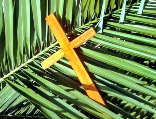 Emilio Domínguez ن tweet media